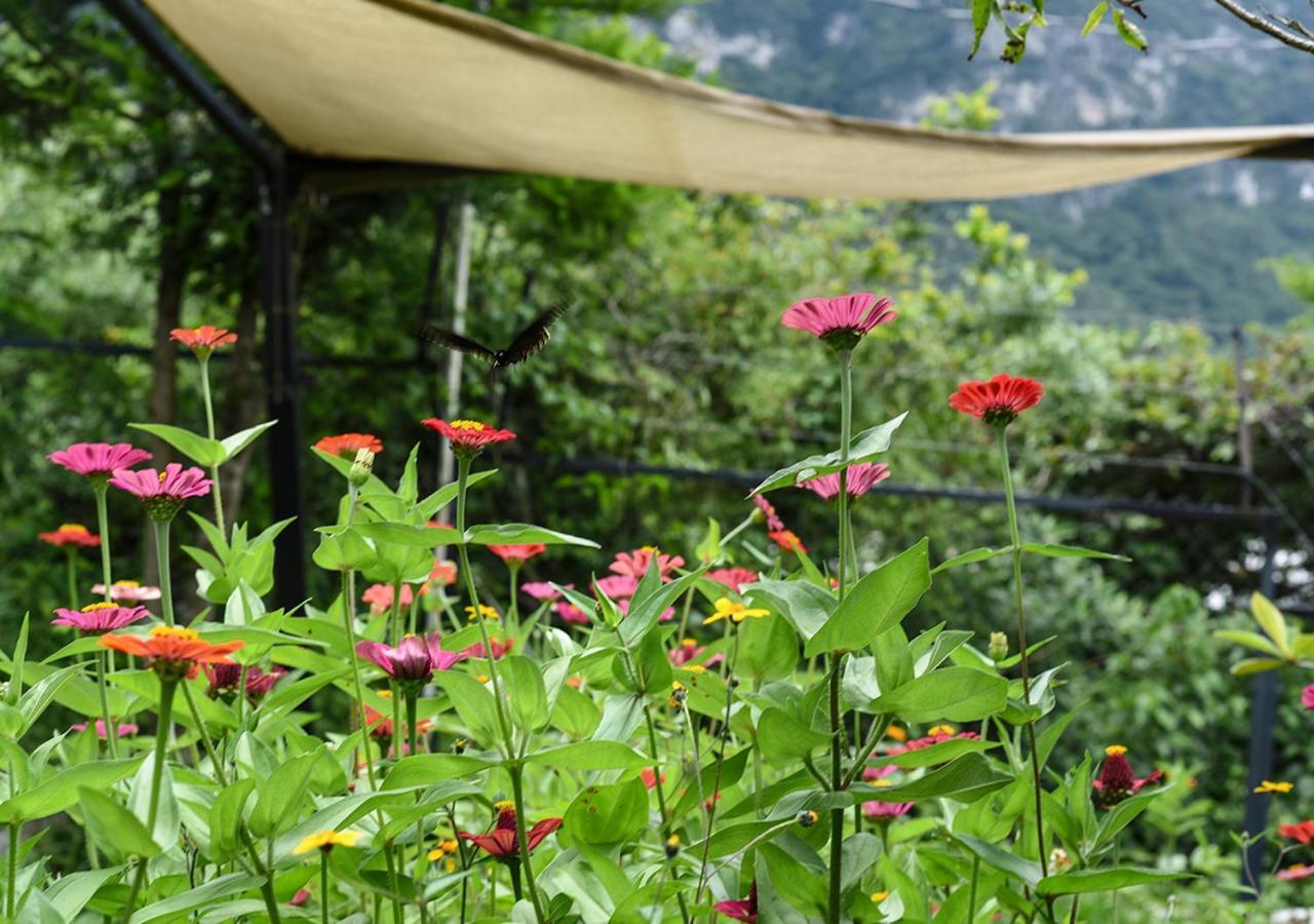 Cabanas Yei Calli Ciudad Mendoza Ngoại thất bức ảnh